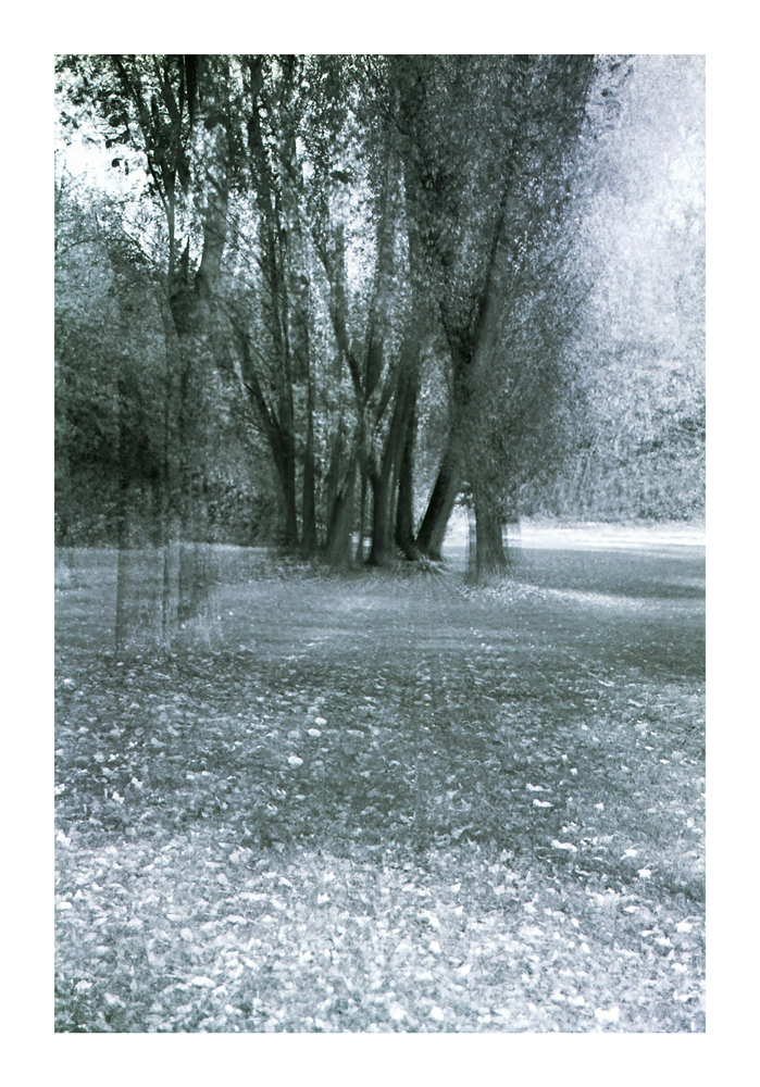 geisterwald2
