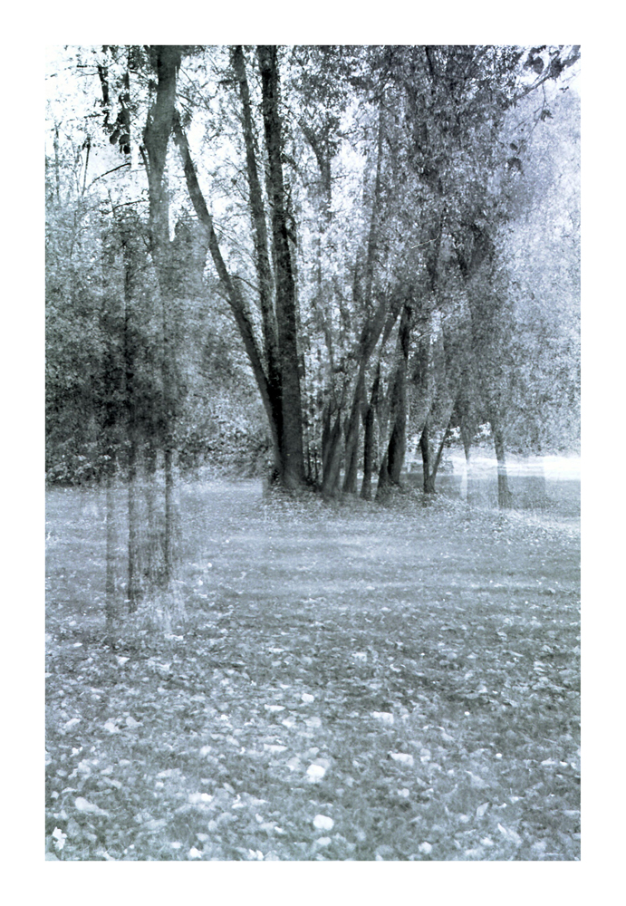 geisterwald3