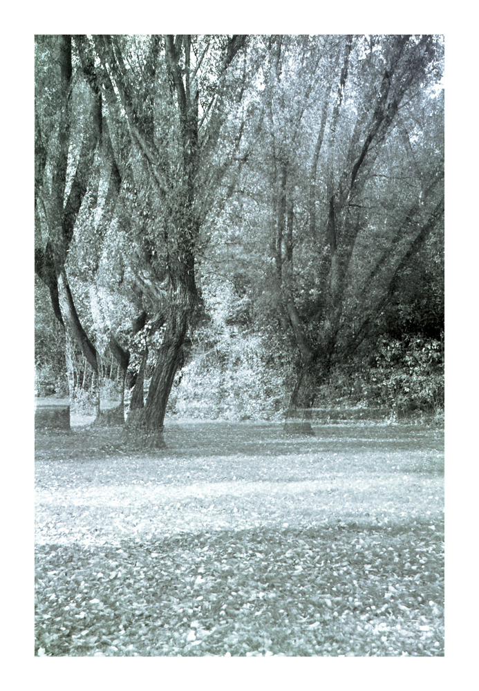 geisterwald4