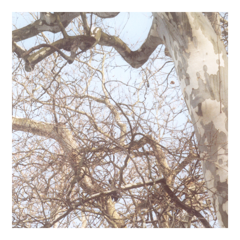 natur4