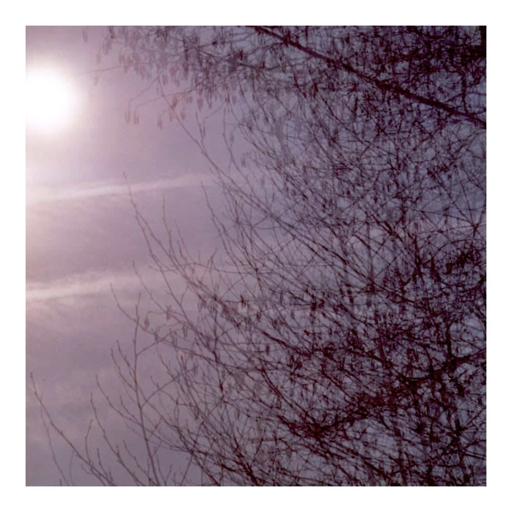 natur5