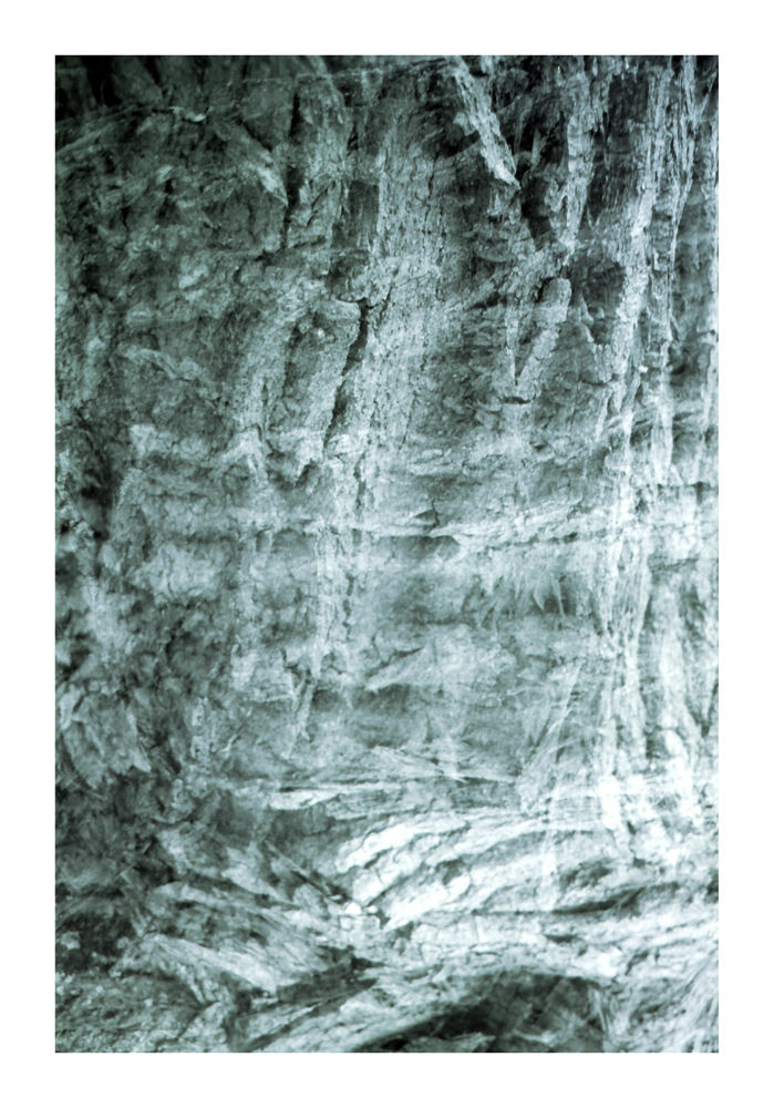 Bark_2