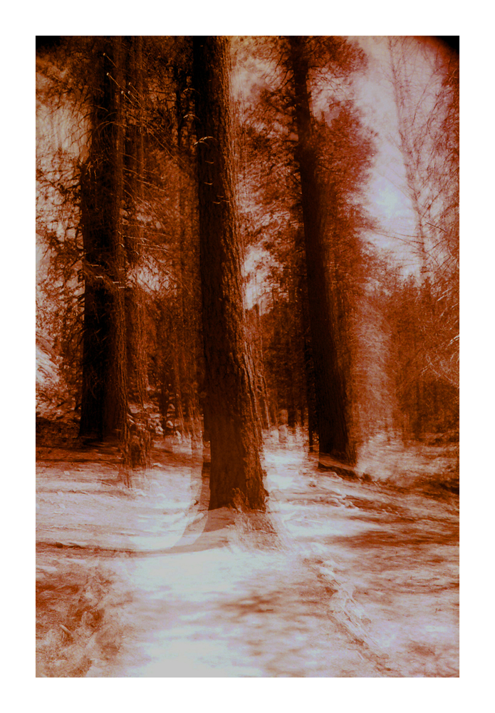 CA_02