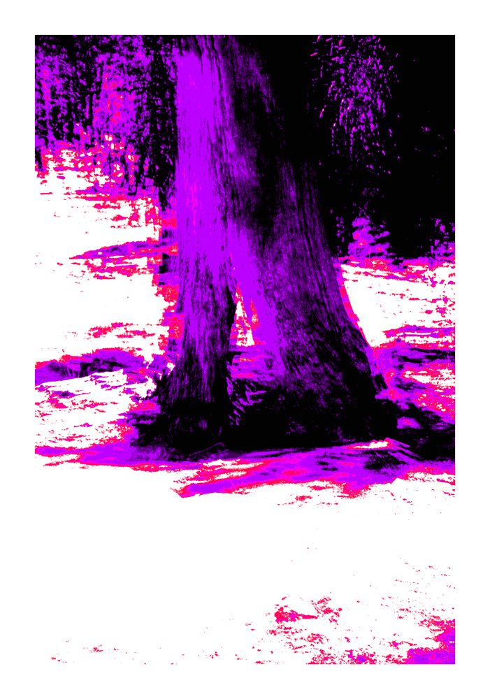 CA_05