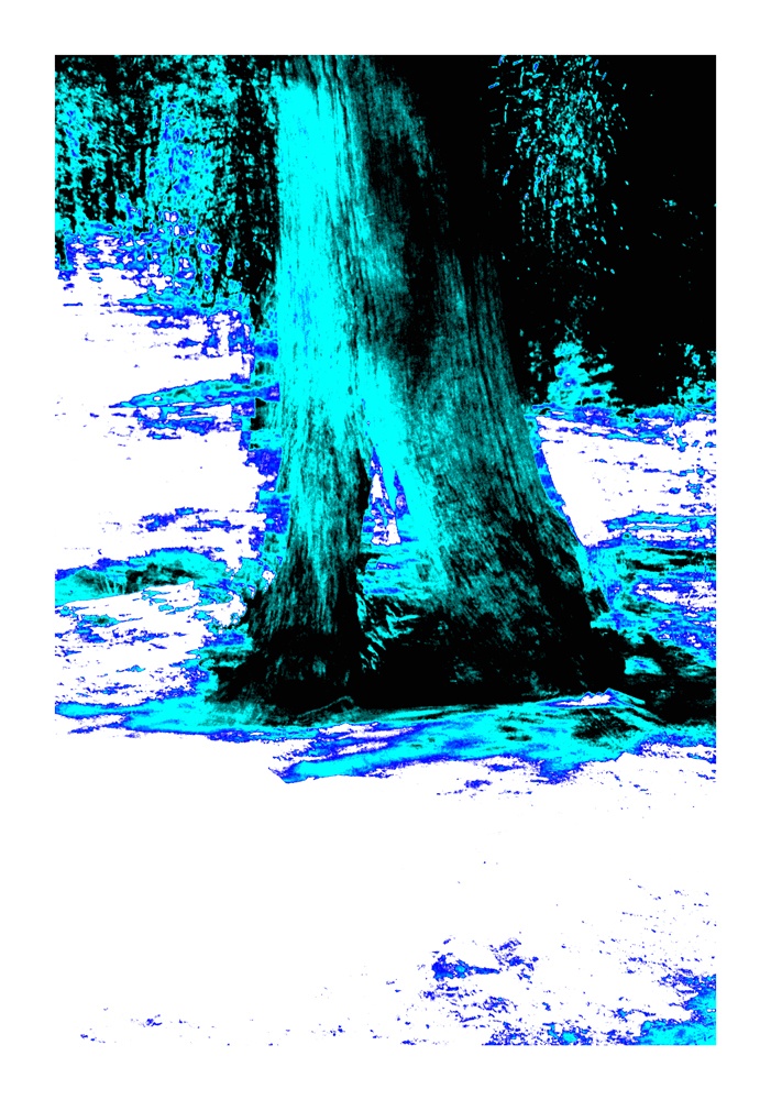 CA_06