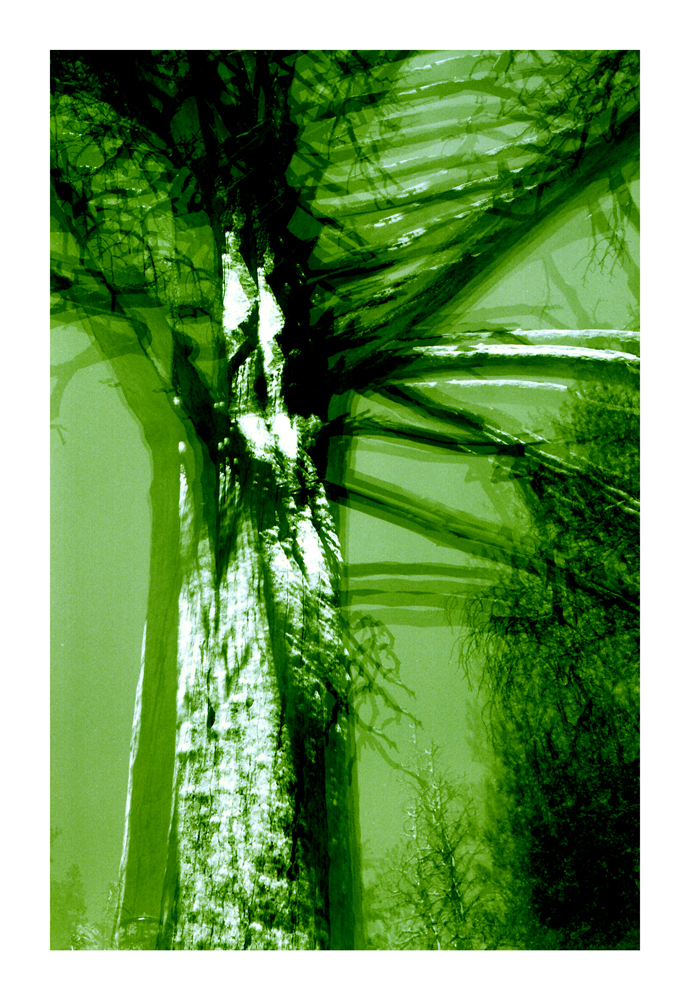 CA_08