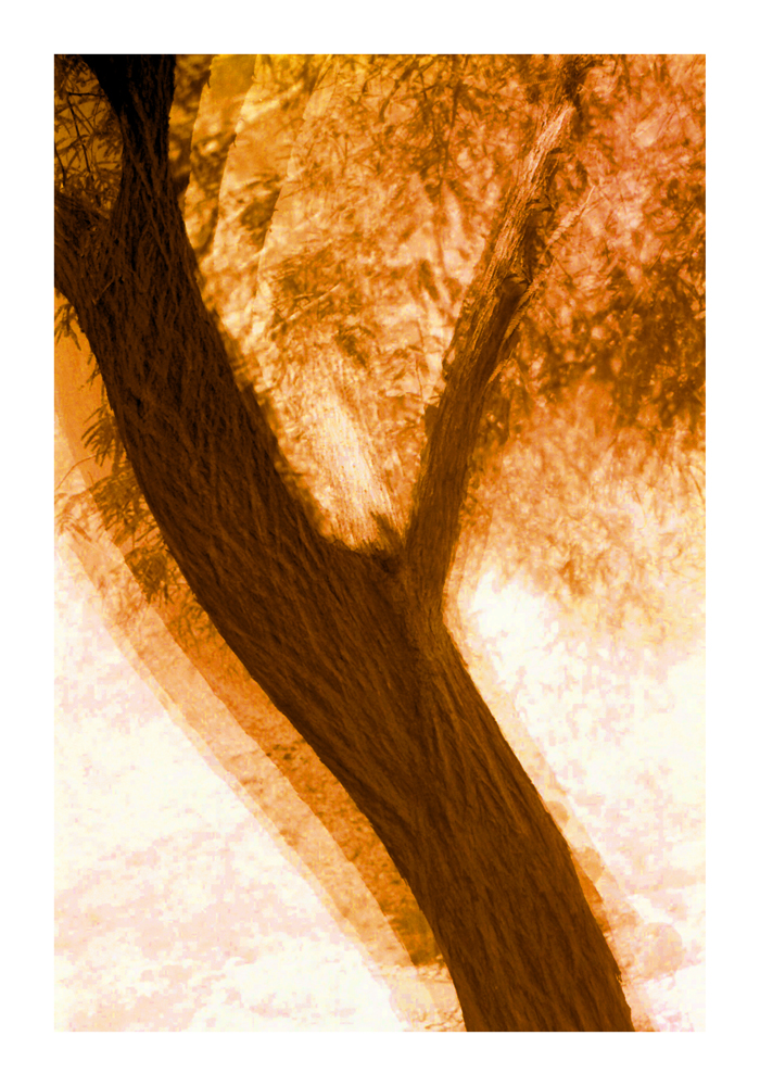 CA_09