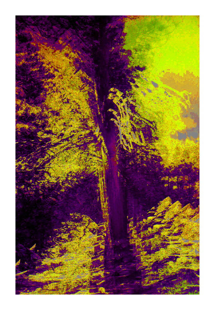 CA_10