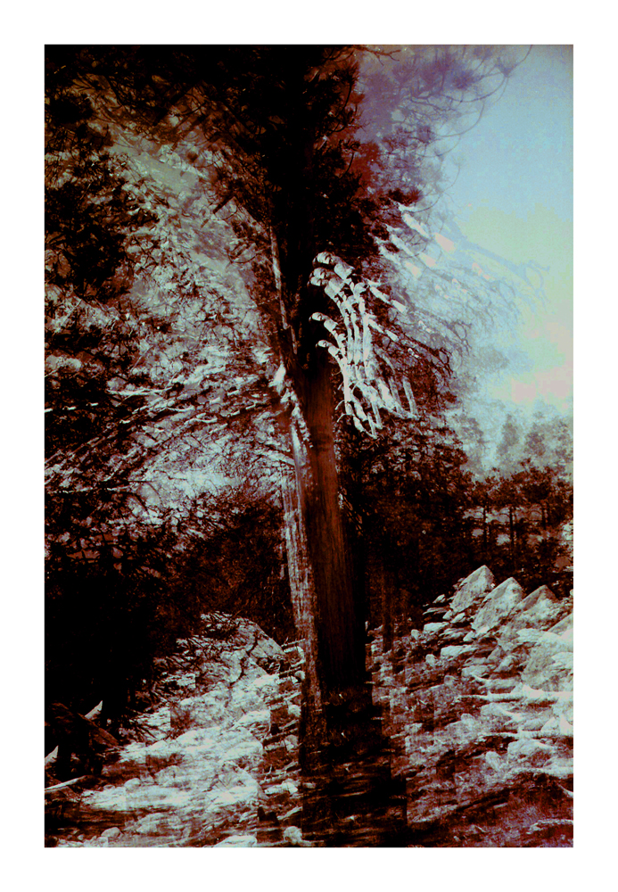 CA_11