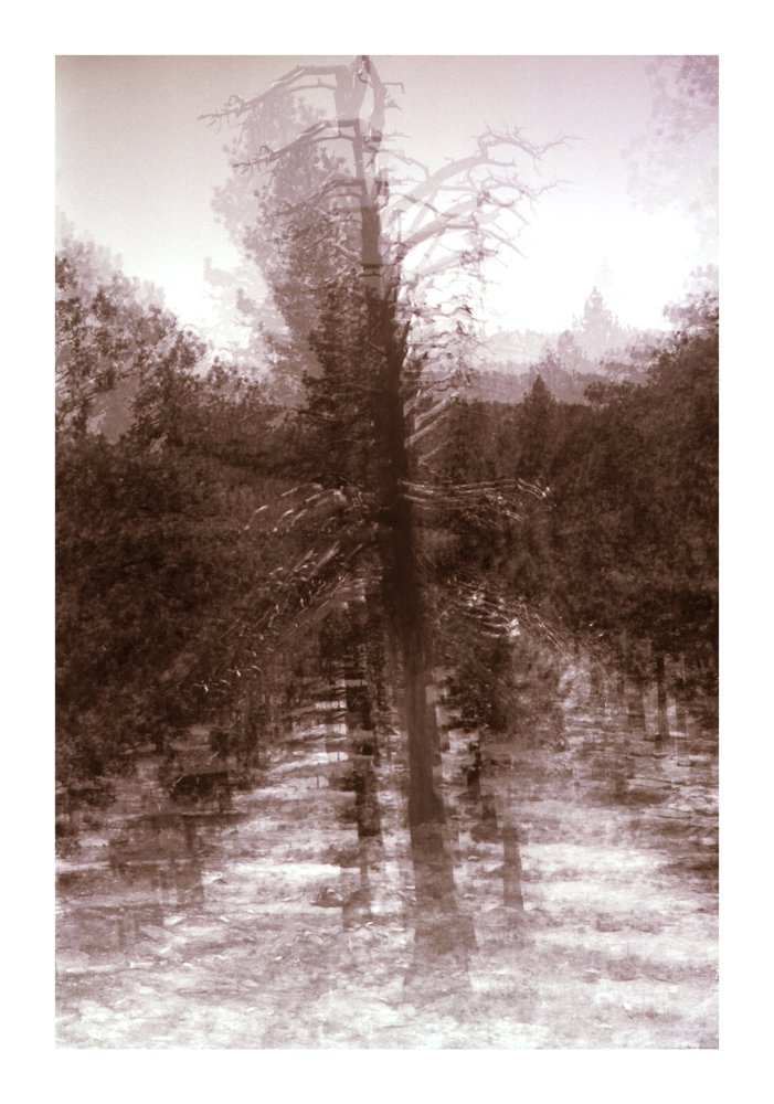 CA_13