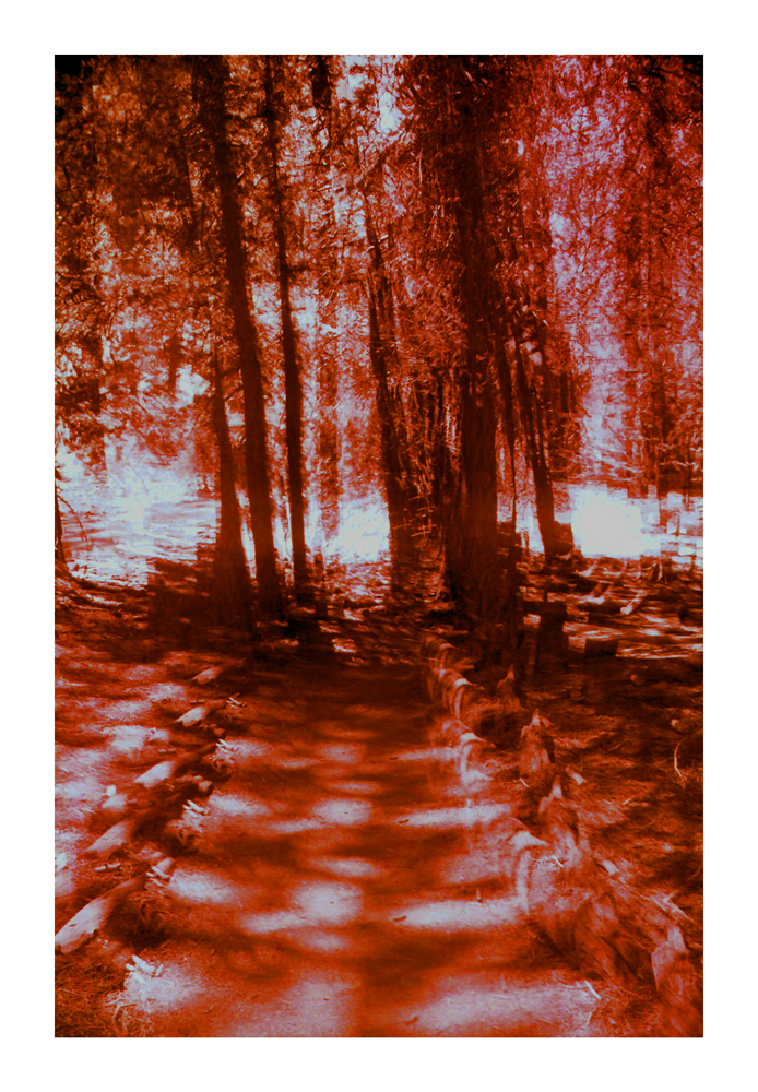 CA_14