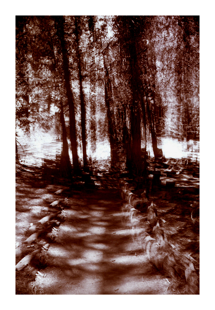 CA_15