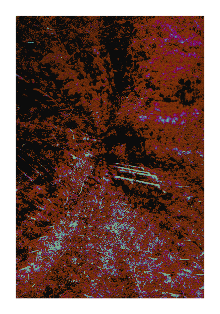 CA_16