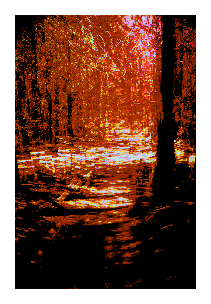 CA_18
