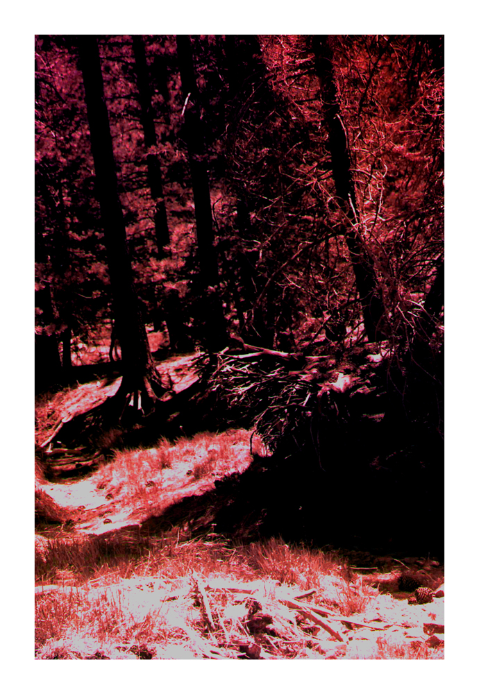CA_19