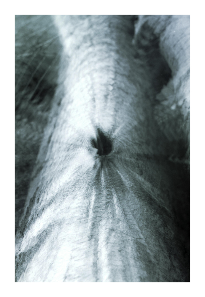 Vergessene_Pfade_1