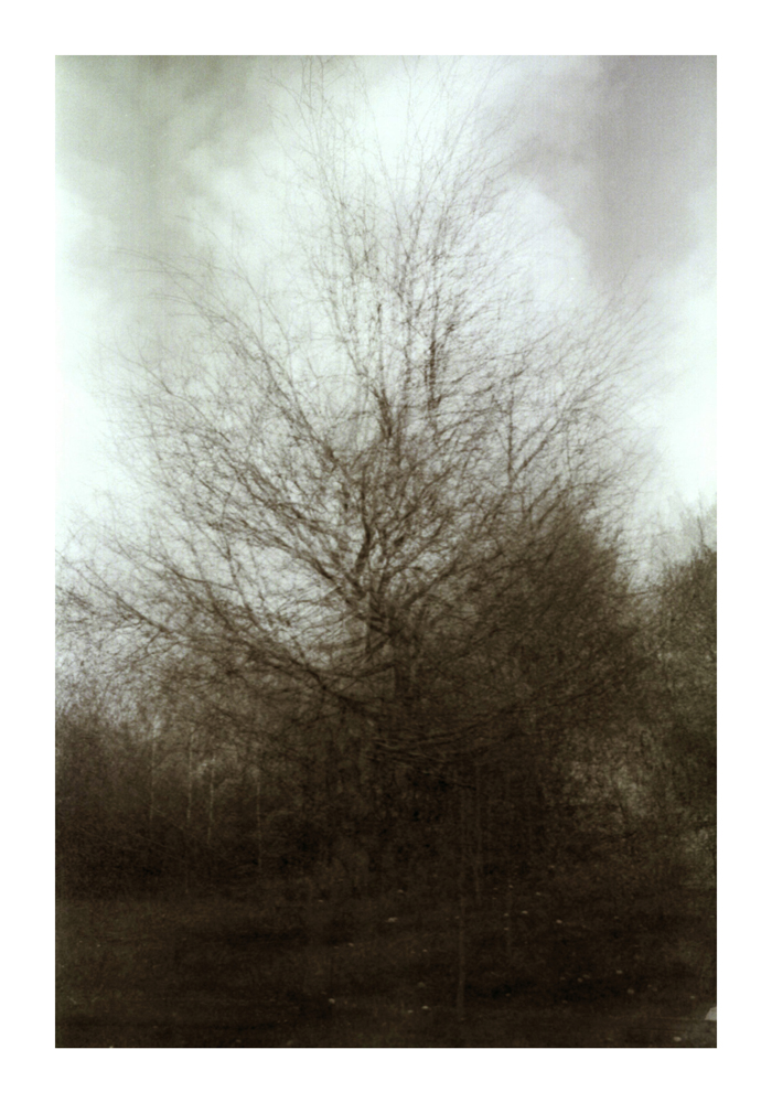 baum9