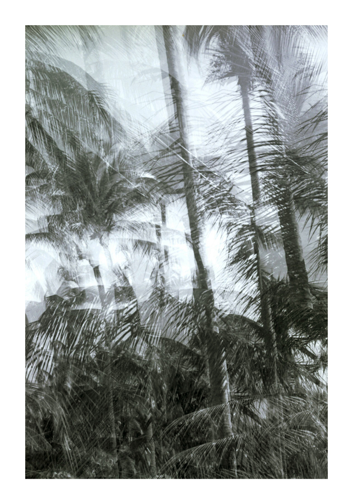 urwald04