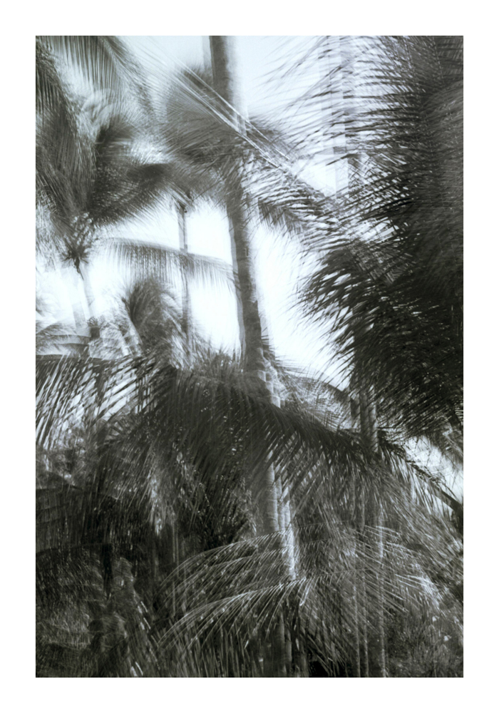 urwald05