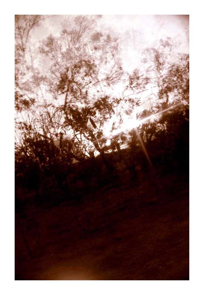 desert_nature03