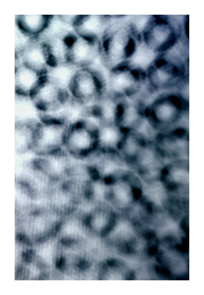 surface_01