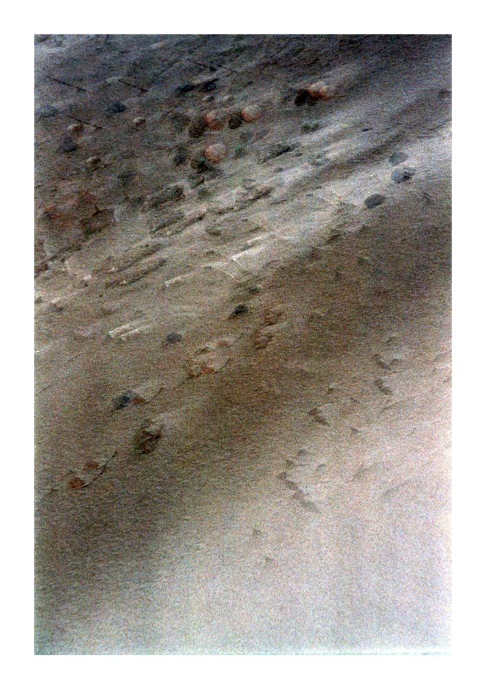 imm005_5A